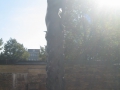 hh_duvenstedt2007_079